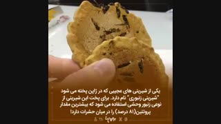 شیرینی زنبوری !!!::///دانستنی...