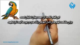 آموزش نقاشی از طوطی