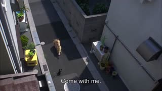 تیزر انیمیشن رودولف گربه سیاه