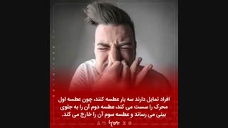 تمایل افراد به ۳ عطسه ::%//دانستنی...