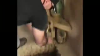 بومگردی در منطقه حفاظت شده خارتوران  | دکتر داوودیان