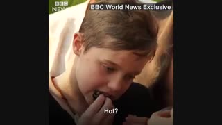 سوسک و عقرب خوردن آنجلیناجولی