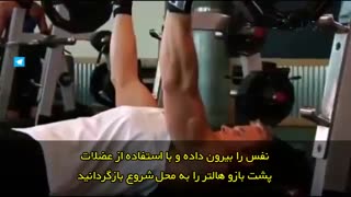 آموزش حرکت بدنسازی - پرس پشت بازو هالتر معکوس