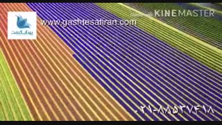 با کشور هلند آشنا شوید