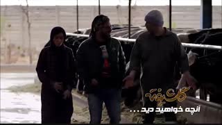 آنچه خواهید دید قسمت ششم سریال گلشیفته