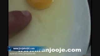 تشخیص تخم نطفه دار و بدون نطفه از روی رنگ