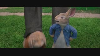 فیلم کمدی ماجراجویی « 2018 » peter Rabbit « پیتر خرگوشه » با زیرنویس چسبیده فارسی