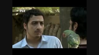 وضعیت سفید - قسمت سی و پنجم