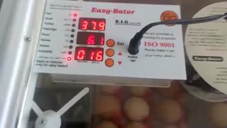 ویدیو دستگاه جوجه کشی خانگی 96 تایی