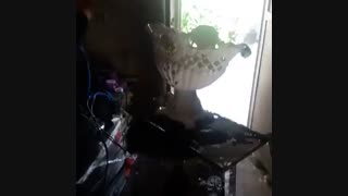 آموزش آبکاری فانتاکروم02156574663ایلیاکالر