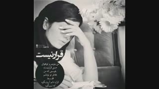 قرار نیست . . .