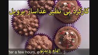 غذاساز برویل مدل BFP800 (اصل استرالیا) - خرید در sinbod.com