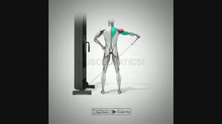آرنولدشو.آموزش حرکات بدنسازی. نشر از جانب با سیم کش