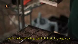 کاشت ریحان (زیرنویس فارسی )