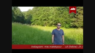 کار به عمل برآید
