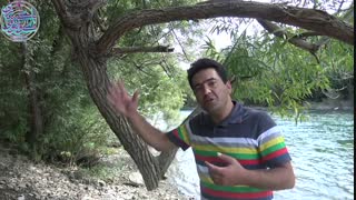 چگونه بن بست های زندگی ما را به مسیر درست هدایت می کند؟