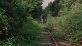 فیلم به گورت تف می کنم (بدترین فیلم های تاریخ سینما)