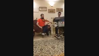 مدرس ویالون حضوری و آنلاین (تدریس خصوصی ویلن، ویالن آموزش ، ۰۹۱۲۲۹۰۵۶۱۱