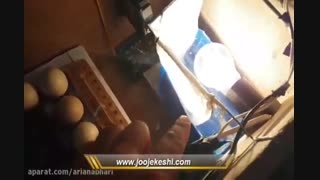 ساخت دستگاه جوجه کشی