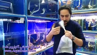 برای جلوگیری از تلف شدن ماهی های خود حتما این ویدئو را ببینید