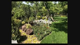 فروش 1000 متر باغ ویلا در شهریار منطقه کردامیر