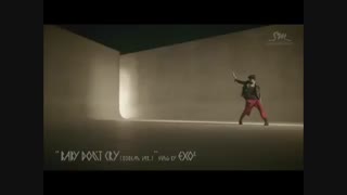 فن سایت کره ای برای هواداران اکسو