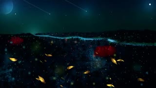 Watch Billboard Music Awards 2018 Full Show بیلبورد