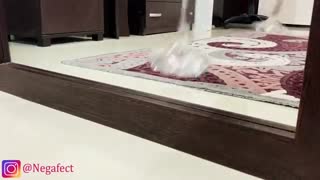 میس جادوگر - برداشتن لیوان از تو آینه!