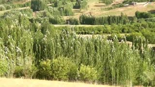منطقه بالاده شهرستان فارسان