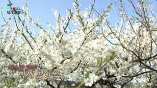 قسمت اول برنامه "با نردبان اکسو به دنیا سفر کن" ورژن چنبکشی -با زیرنویس فارسی-آنلاین