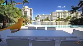 ترس‌هایی که مانع موفقیت شما میشن!