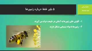 ۵ باور غلط درباره زنبورها