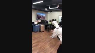 BTS وقتی با برنامه ی تلویزیونی تمرین میکنن