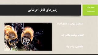 زنبور قاتل آفریقایی (عسل آهوتا)