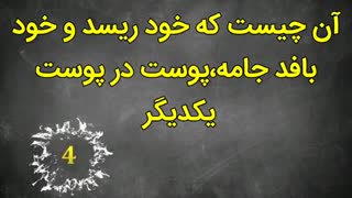 آن چیست جوهره مرد است و سه حرفی ؟ جواب بدین جایزه بگیرین