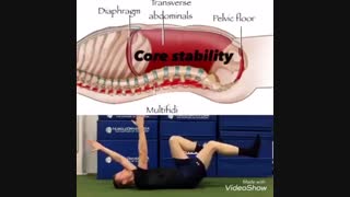 تمرین فیزیوتراپی تنه 77699708 طراحی سایت پزشکی