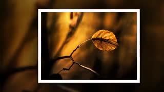 بی تو :شاعر فردوس اعظم با آوای مریم گوهر