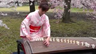 آلت موسیقی ژاپن به اسم کوتو . استاد Sakura