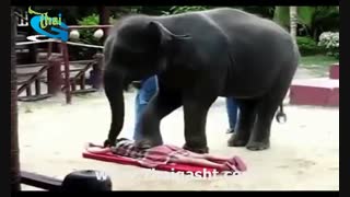 تور تایلند,تور پاتایا,تور پوکت,تور ساموئی(www.Thaigasht.com)