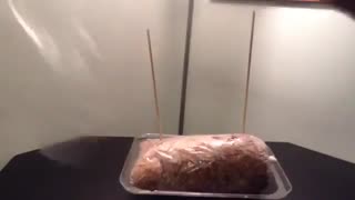 پرورش قارچ صدفی به روش ساده-فروشگاه اروم کشاورز ، فروشگاه بذر قارچ و تجهیزات پرورش قارچ