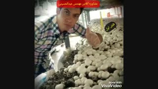 فروش کمپوست ملارد-عبدالحسینی