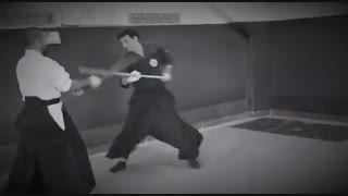 سامورایی ونینجوتسو