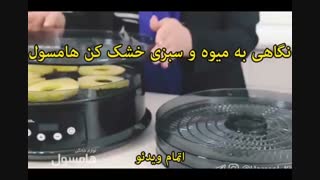میوه و سبزی خشک کن هامسول - خرید در sinbod.com