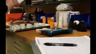 پاپ کورن 9 : معرفی فیلم Unsane