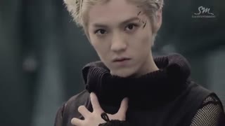 Exo wolf