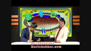 تدریس زیست موسسه کنکوری حرف آخر