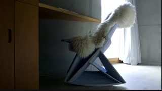 شگفت انگیزترین خانه های دنیا - قسمت 4