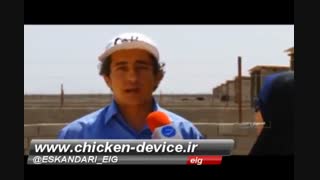 اموزش پرورش شترمرغ