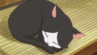 انیمه دوکی دوکی پریتی کیور قسمت 13