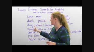 آموزش زبان Engvid استاد رونی 02128423118 - 09130919448 - wWw.118File.Com